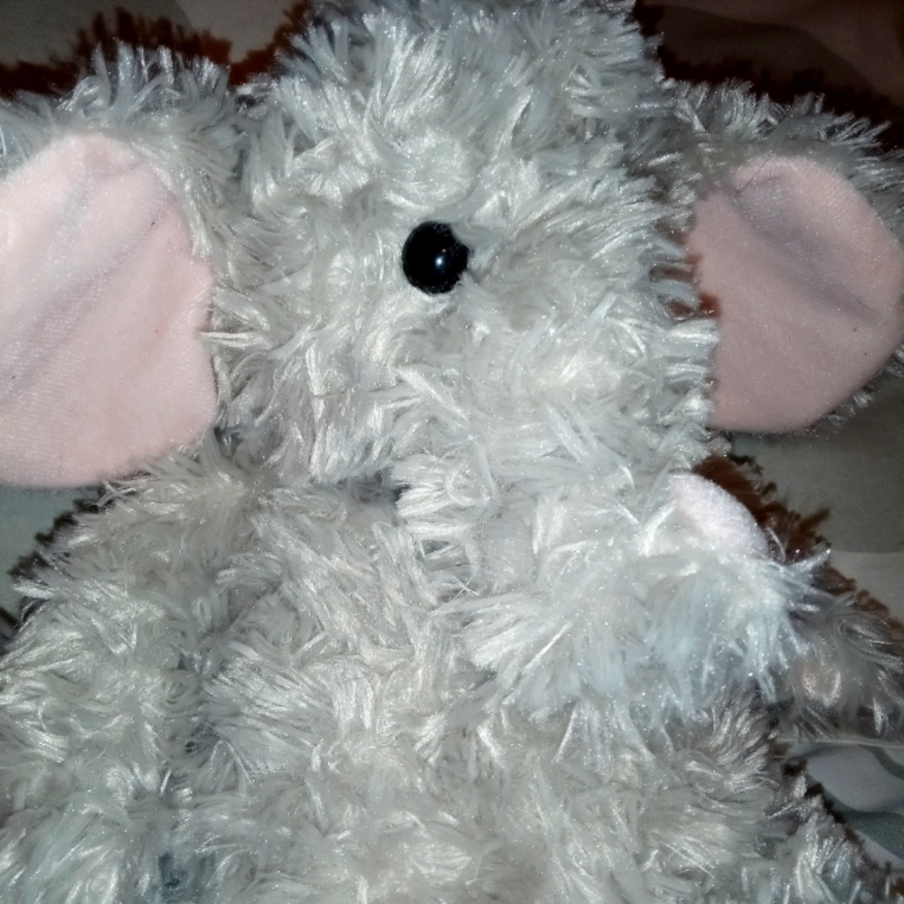 BOGO Free Peek-a-boo Elephant